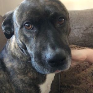 Meet your Posher, Joanne